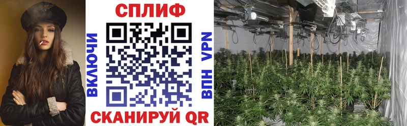 Как найти закладки Новосокольники hydra как зайти Мефедрон Амфетамин ГАШ APVP Каннабис