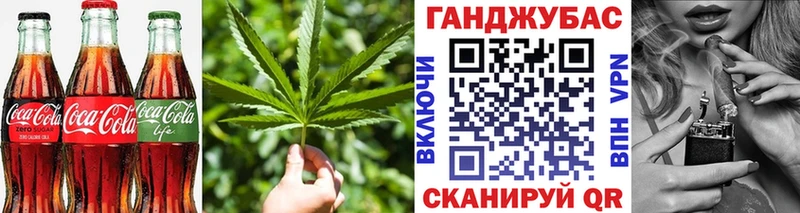 Cannafood конопля  где можно купить   Новосокольники 
