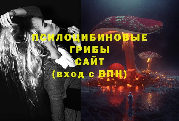 mdpv Верхний Тагил